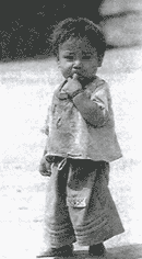 bimbo in Hardeman